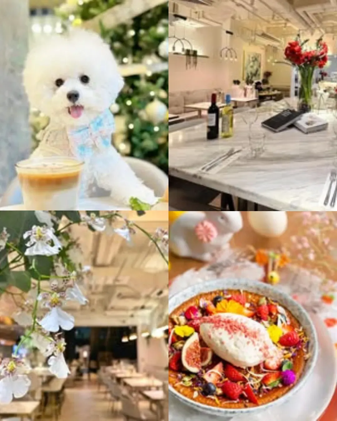 Fleur (南豐紗廠)