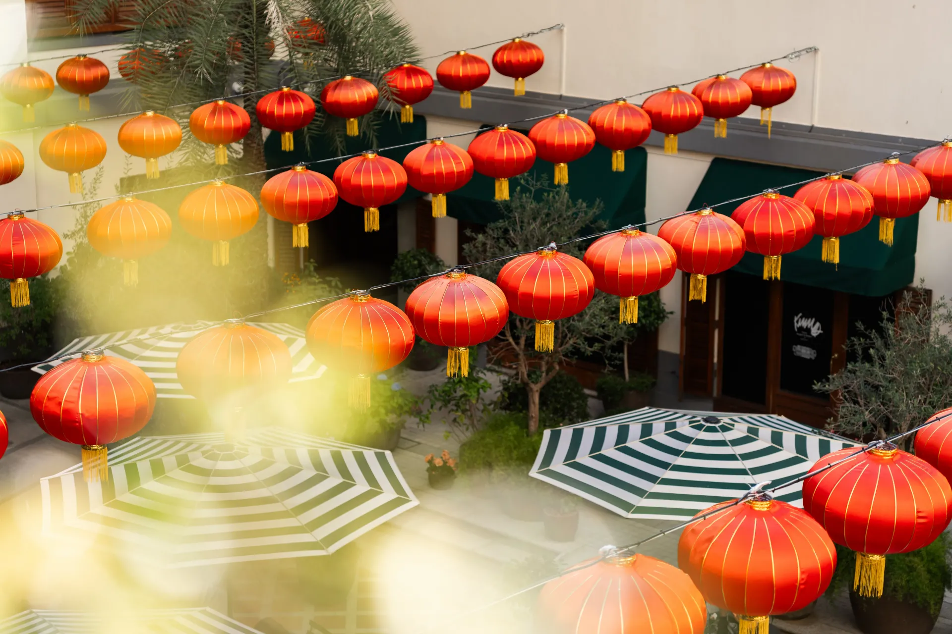 圖片來源：官方網站、U Lifestyle