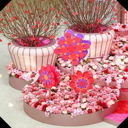 圖片來源：官方網站