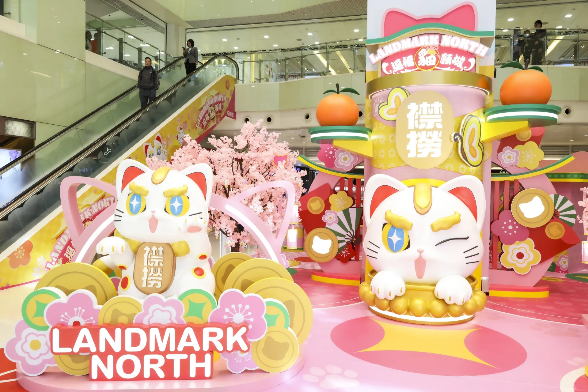 圖片來源：官方圖片