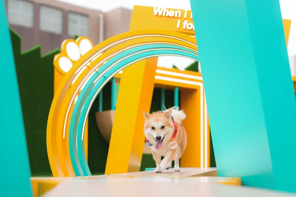 圖片來源：U Lifestyle