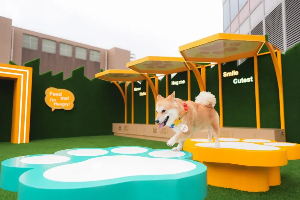 圖片來源：U Lifestyle