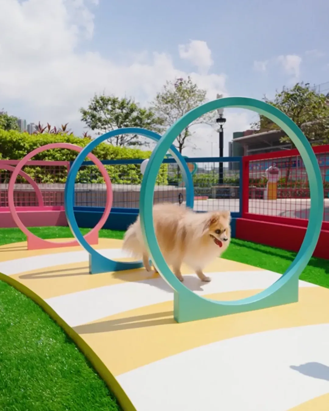 青衣城「青新貓狗樂園」