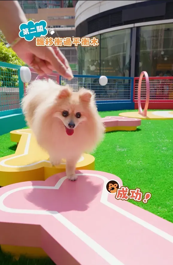 圖片來源：U Lifestyle