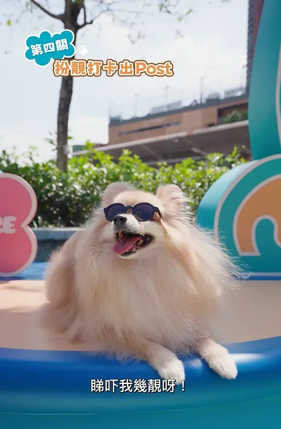 圖片來源：U Lifestyle