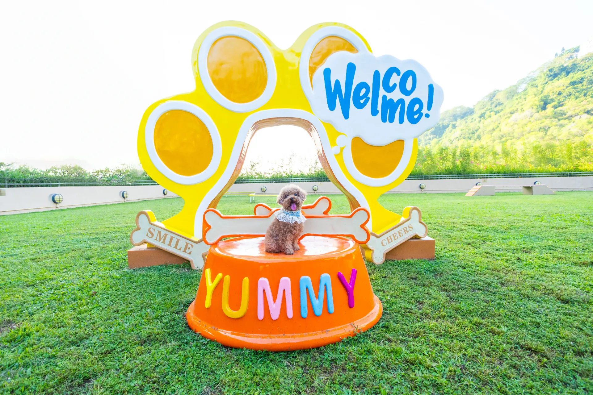 圖片來源：官方網站