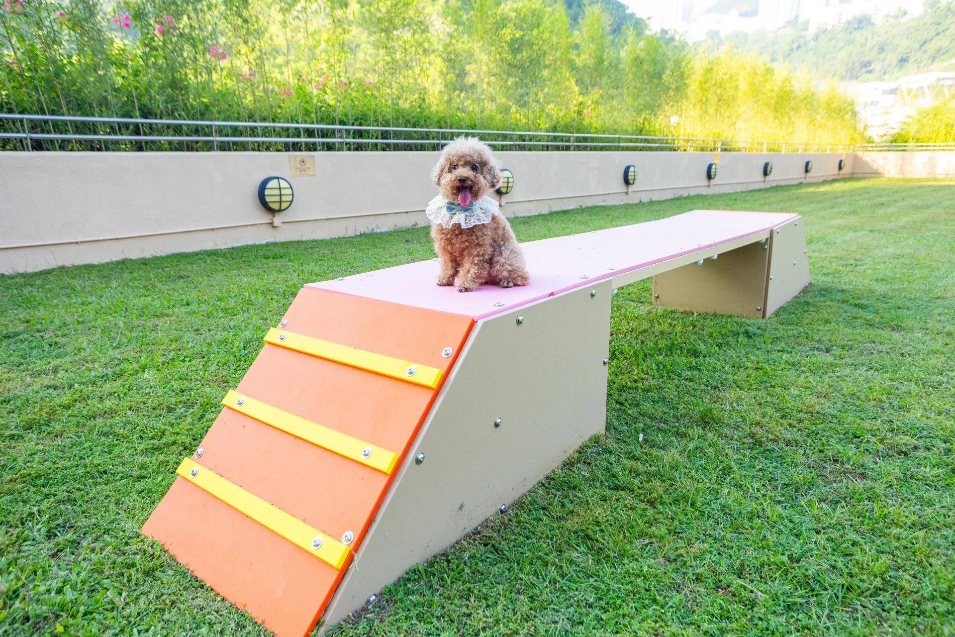 圖片來源：官方網站