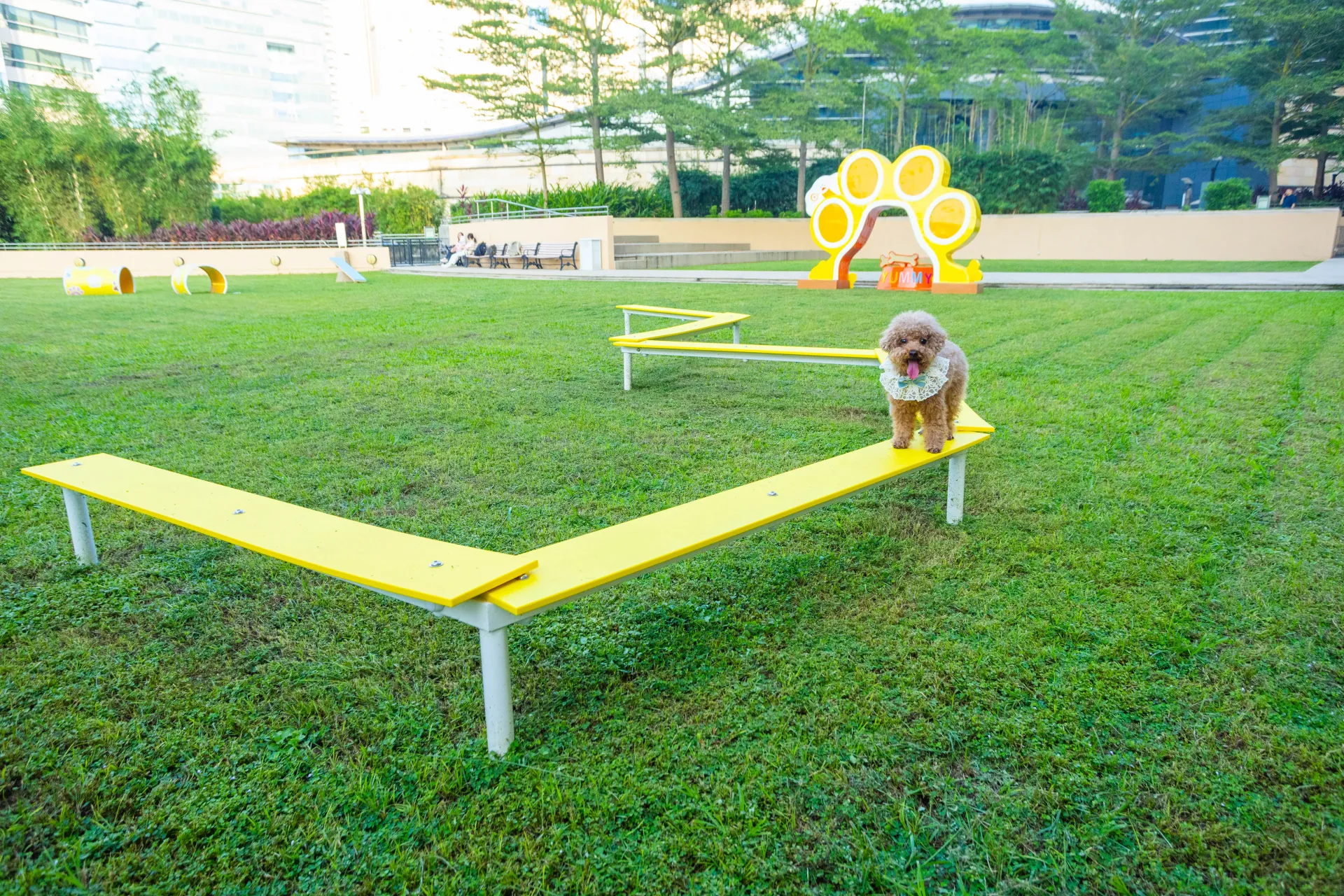 圖片來源：官方網站