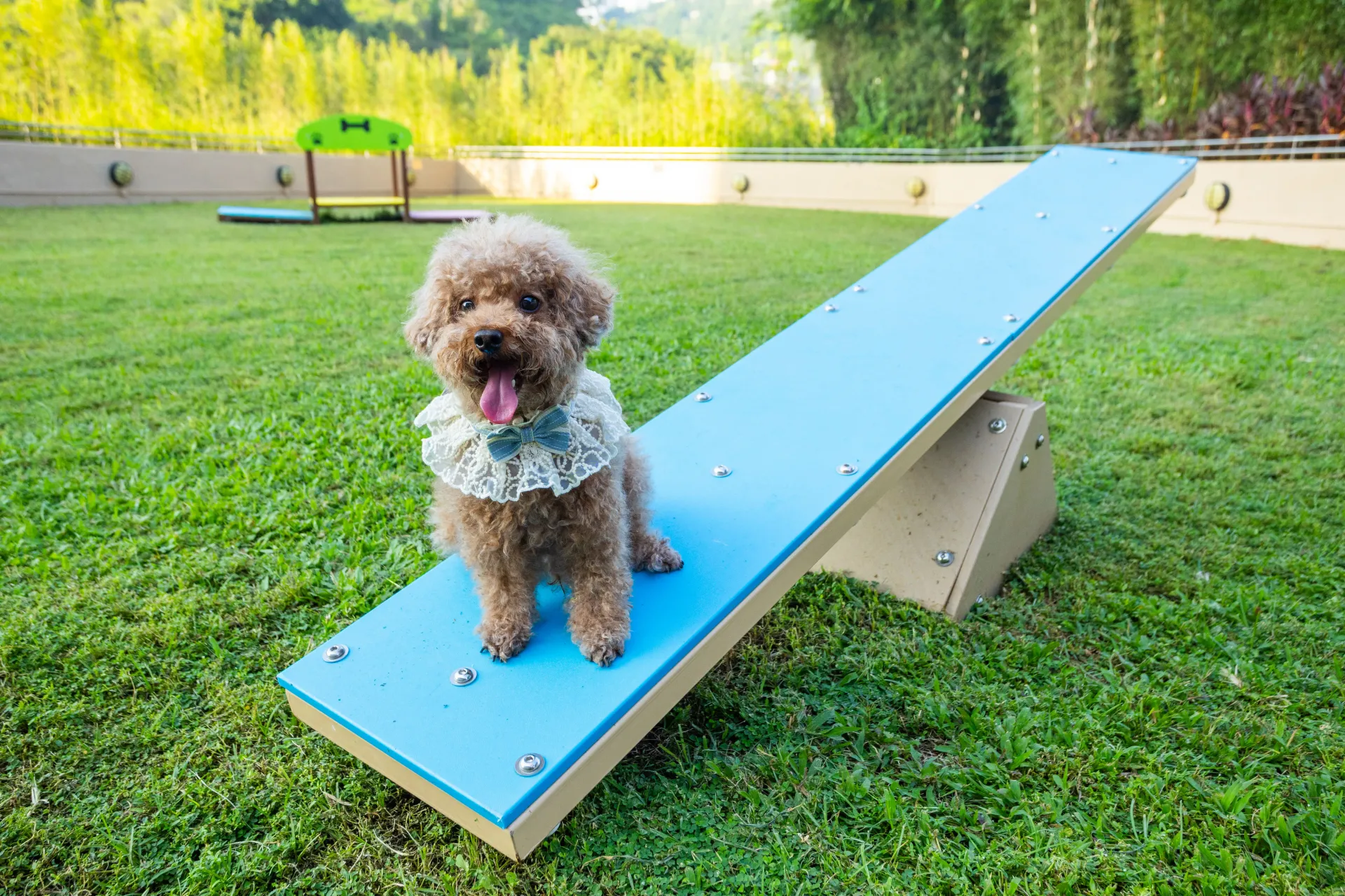 圖片來源：官方網站