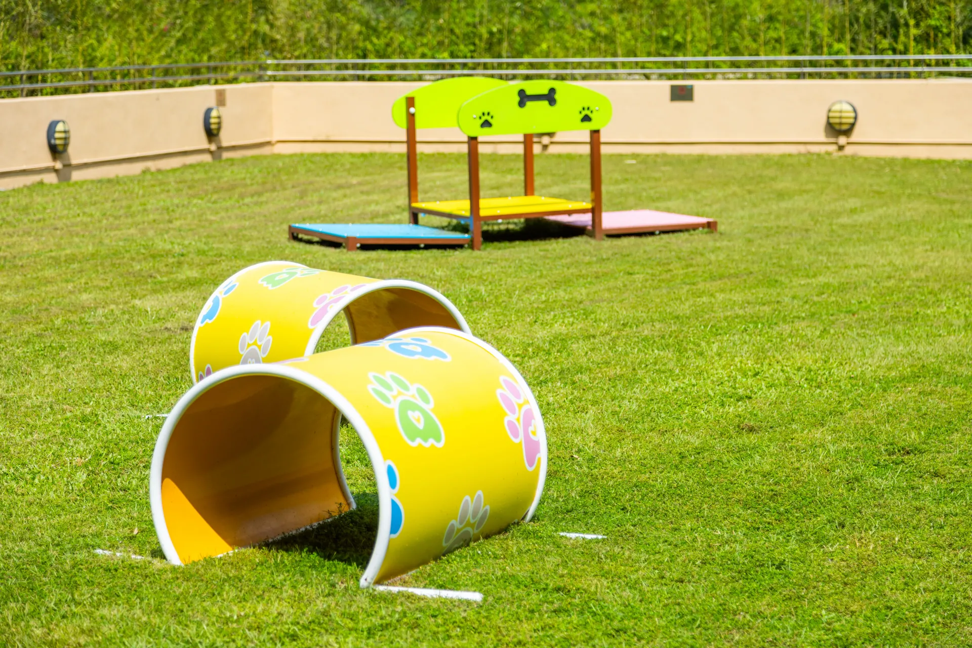 圖片來源：官方網站