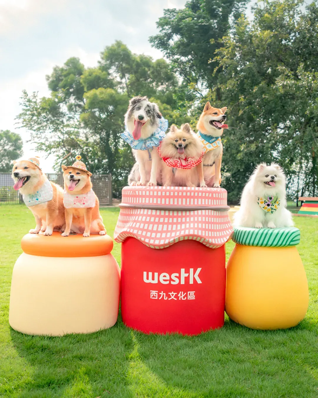 西九寵物俱樂部