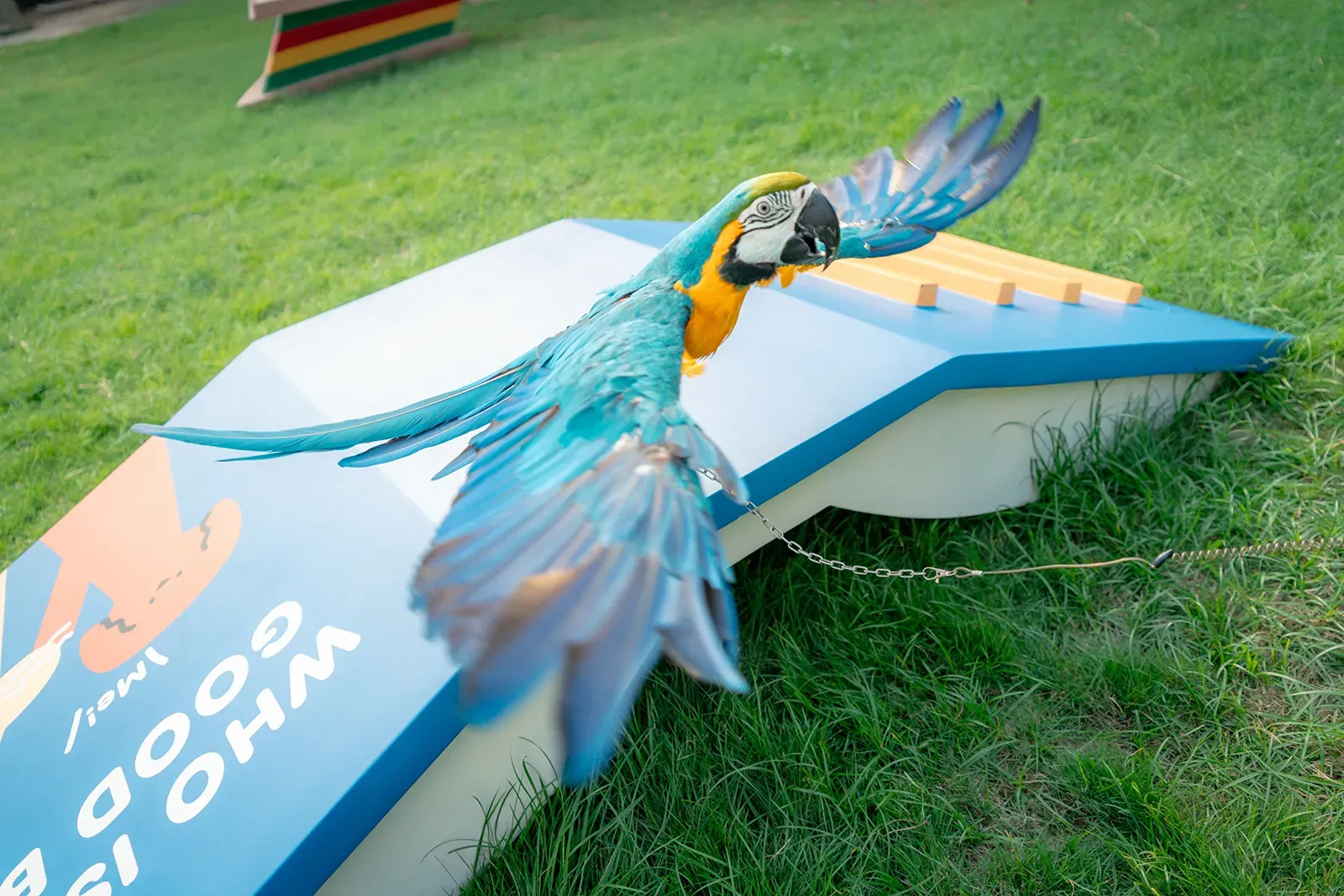 圖片來源：官方網站