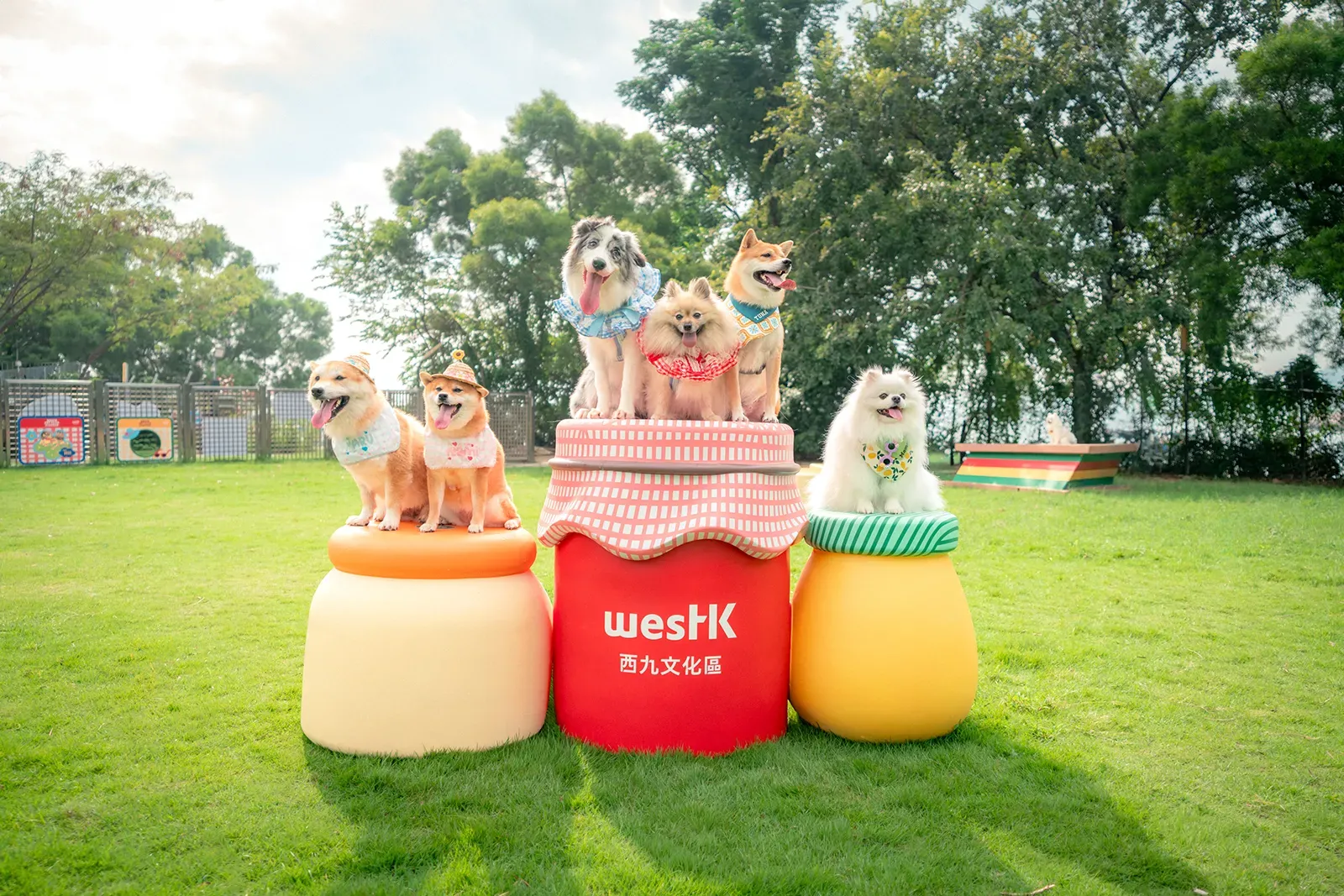 圖片來源：官方網站