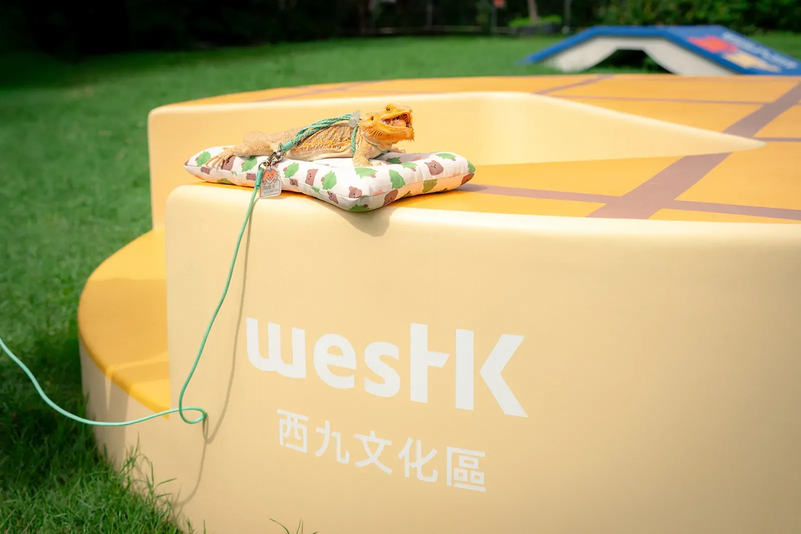 圖片來源：官方網站