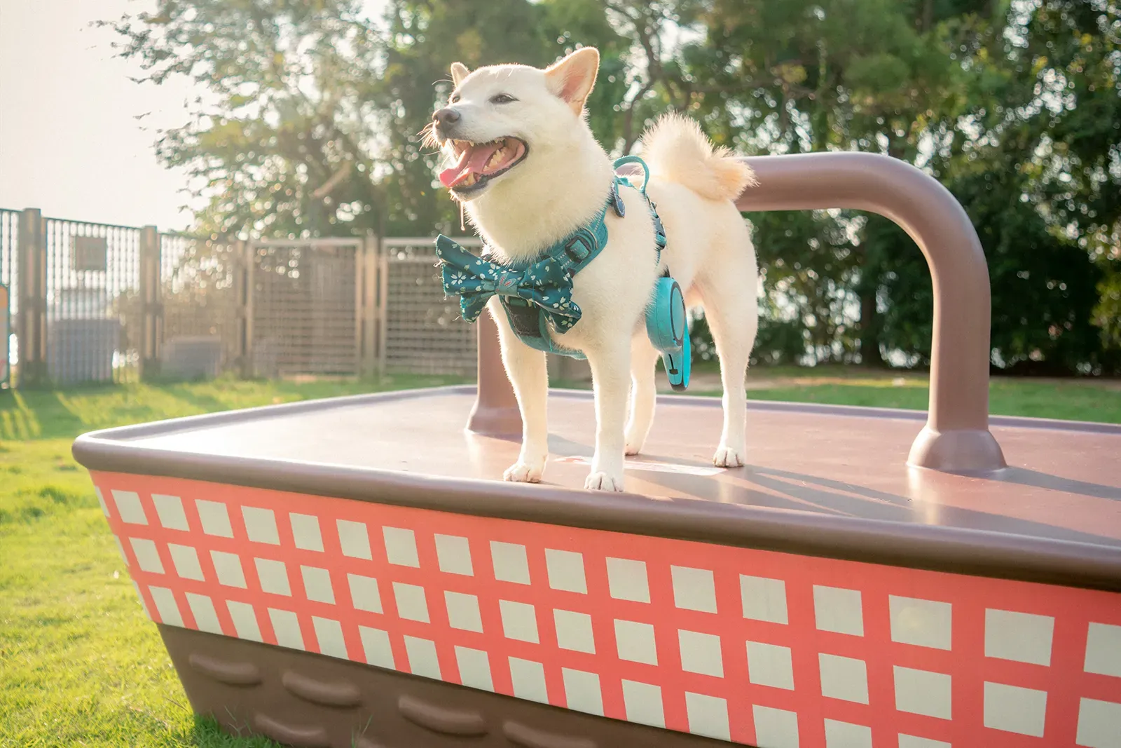 圖片來源：官方網站