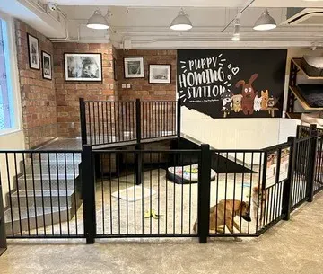 圖片來源：FB@Whiskers N Paws