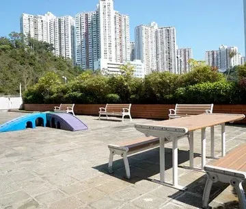 圖片來源：FB@Whiskers N Paws