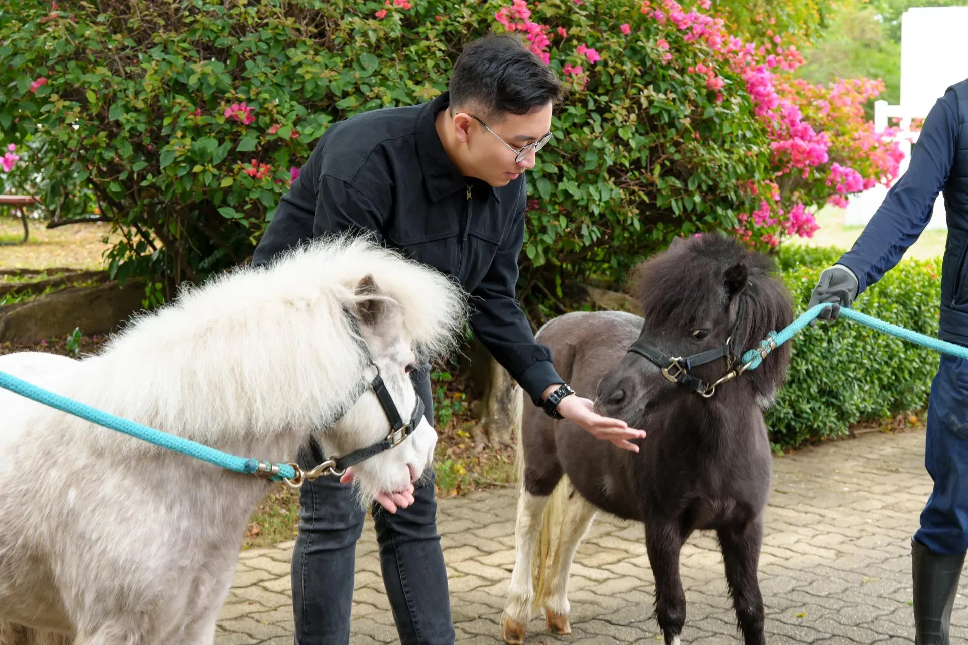 圖片來源：官方網站、U Lifestyle