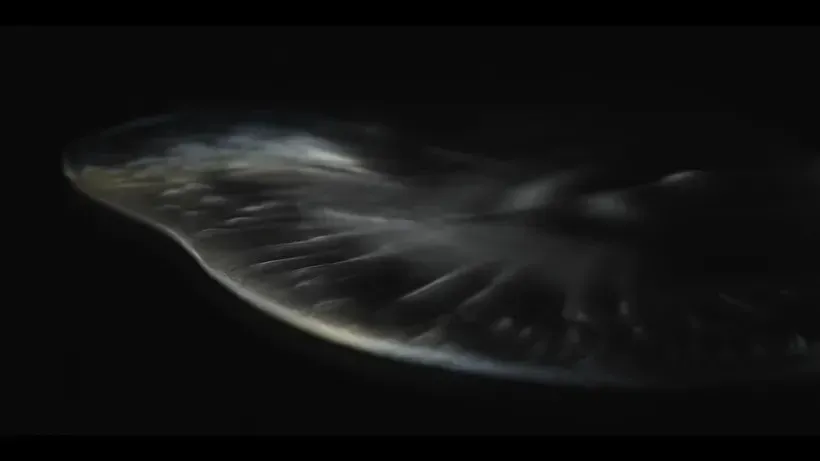 圖片來源：官方圖片