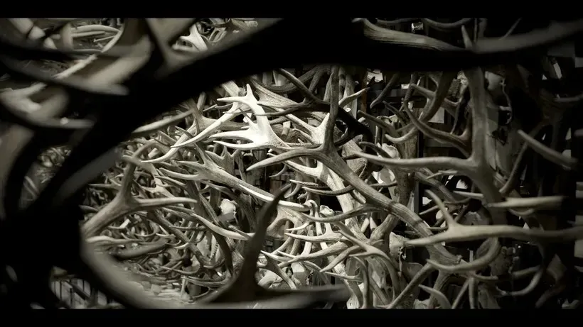 圖片來源：官方圖片