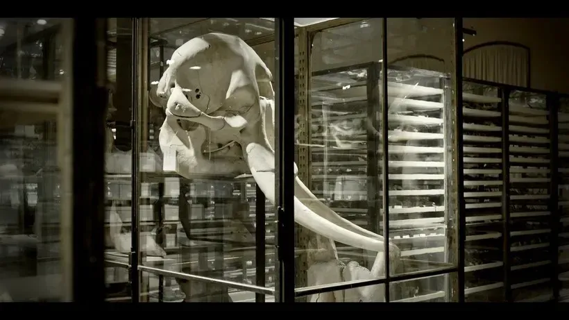 圖片來源：官方圖片