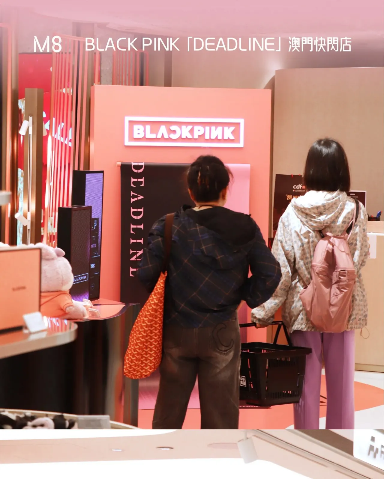 圖片來源：官方網站、U Lifestyle