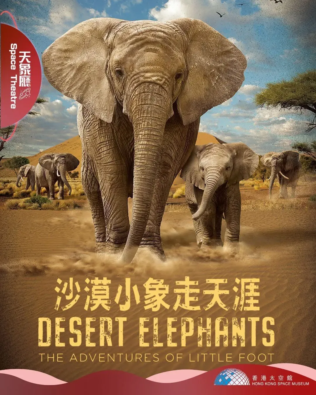 太空館《沙漠小象走天涯》