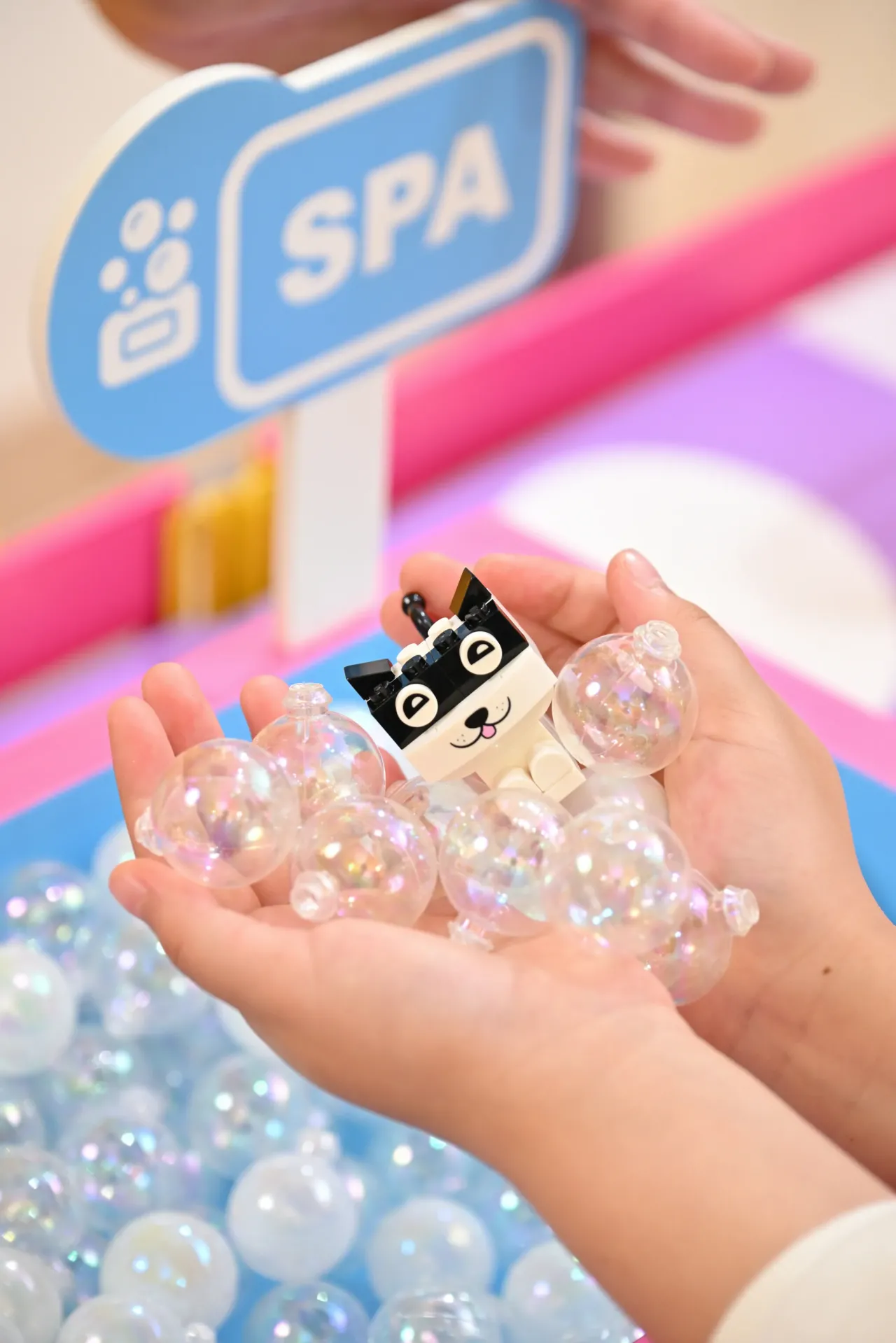 圖片來源：官方網站、U Lifestyle