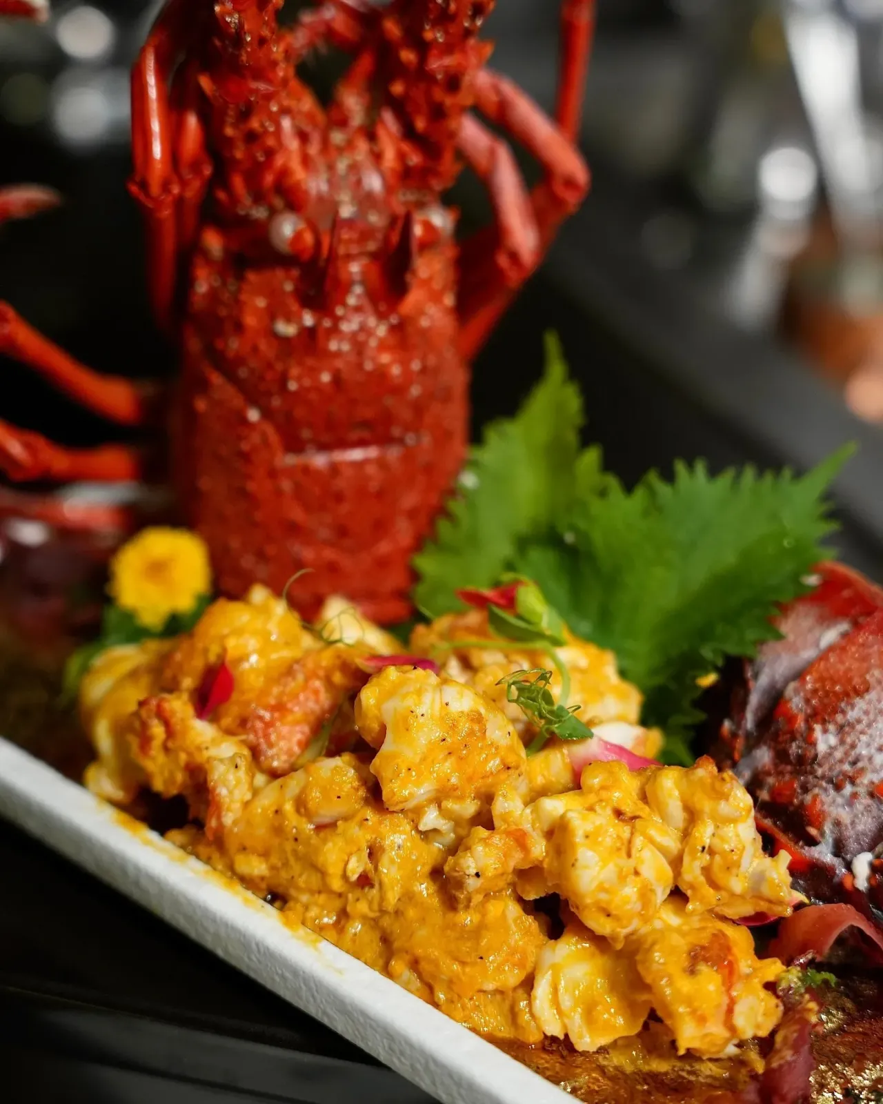 圖片來源：官方網站、U Lifestyle