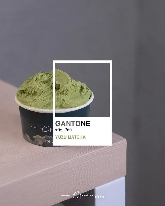 圖片來源：IG@gantohk