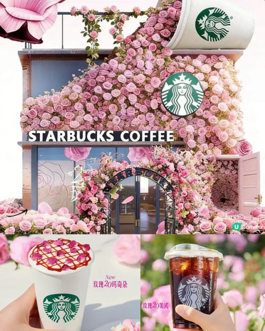 Starbucks玫瑰旗艦店