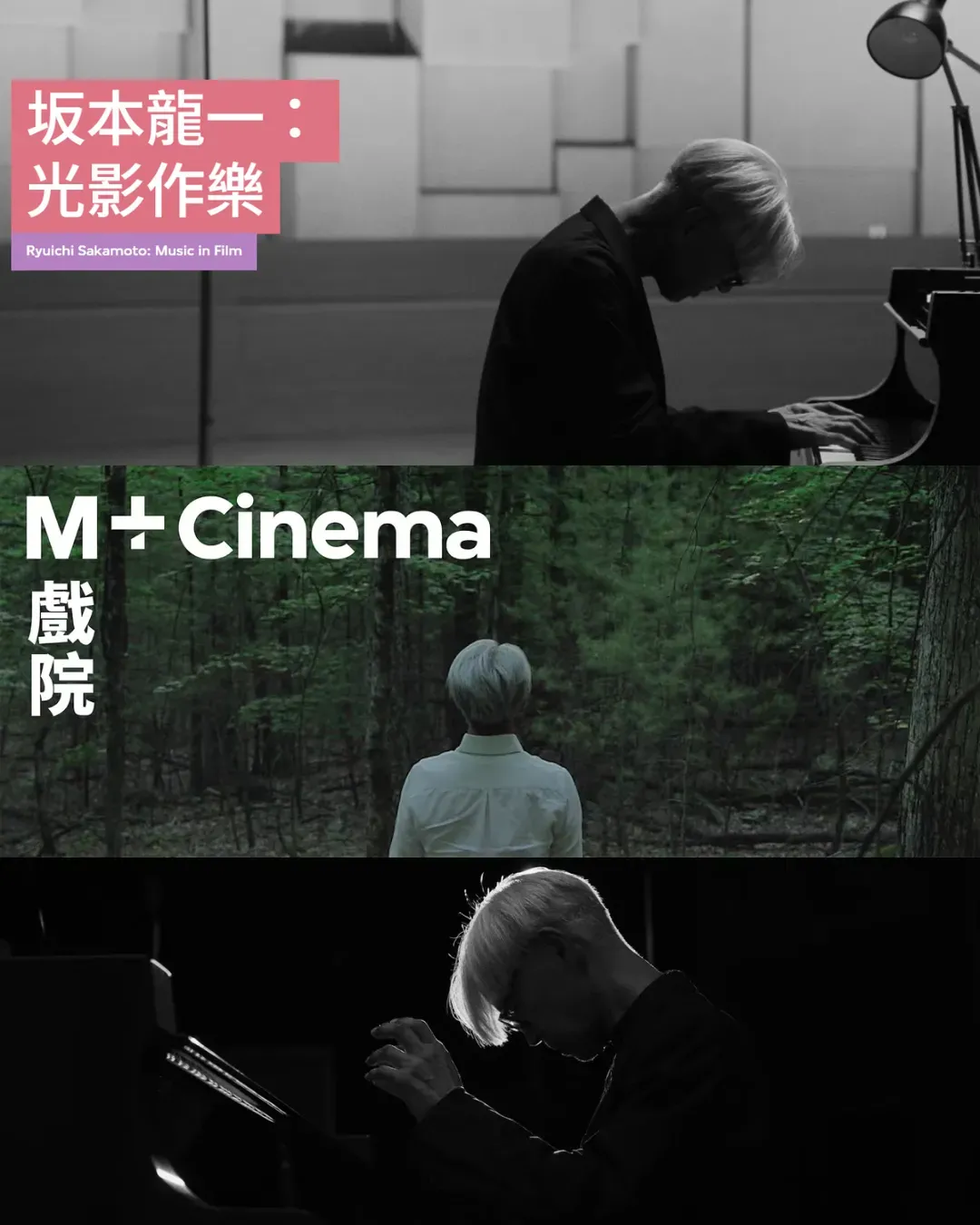 坂本龍一：光影作樂