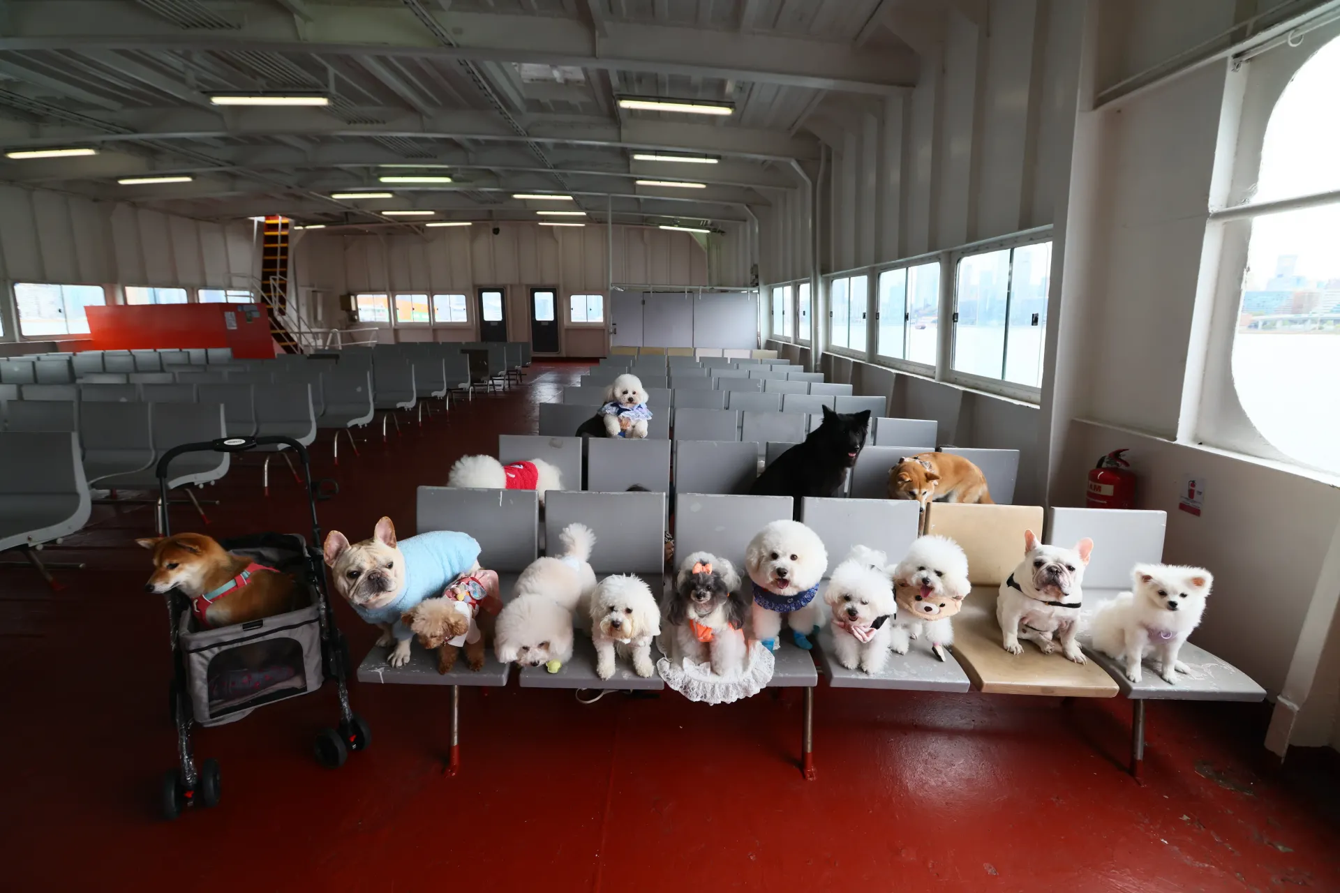 圖片來源：官方網站、U Lifestyle