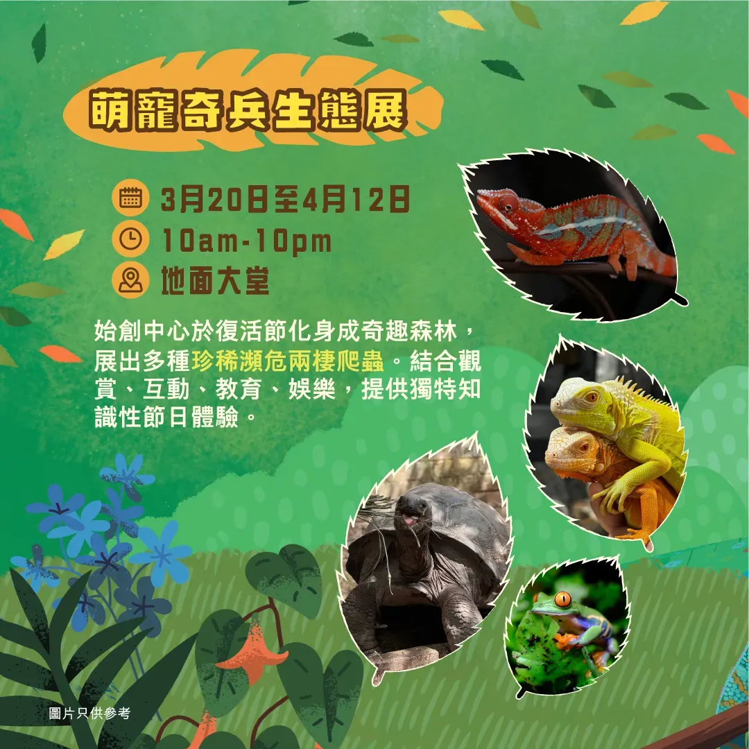 圖片來源：官方網站、U Lifestyle