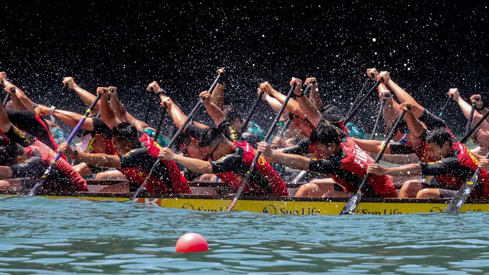 圖片來源：香港旅遊發展局 官方網站