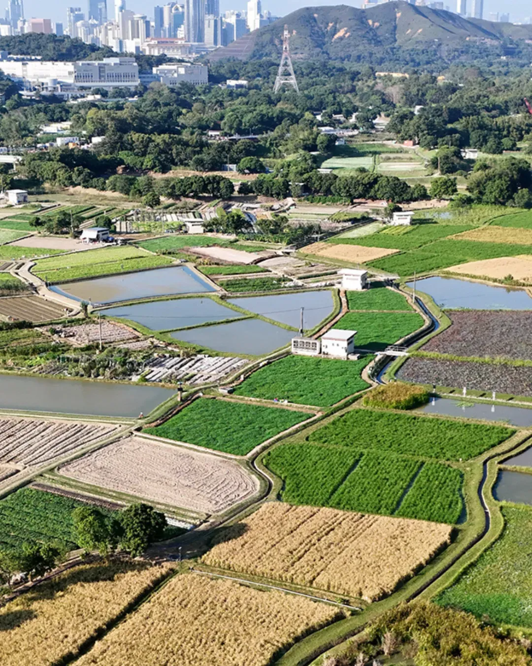 塱原自然生態公園