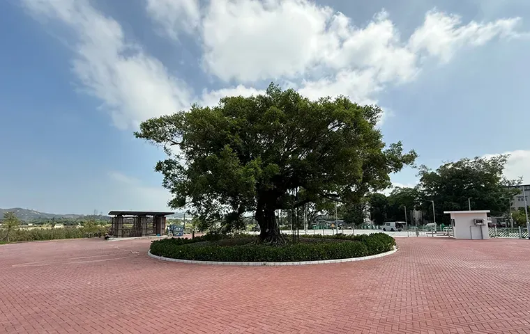 圖片來源：官方網站