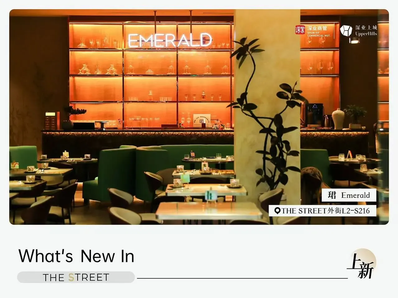 圖片來源：官方網站、U Lifestyle