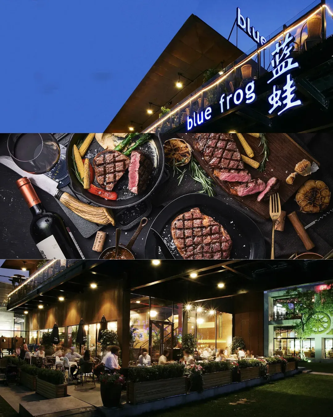 Blue Frog 藍蛙 (皇庭廣場)