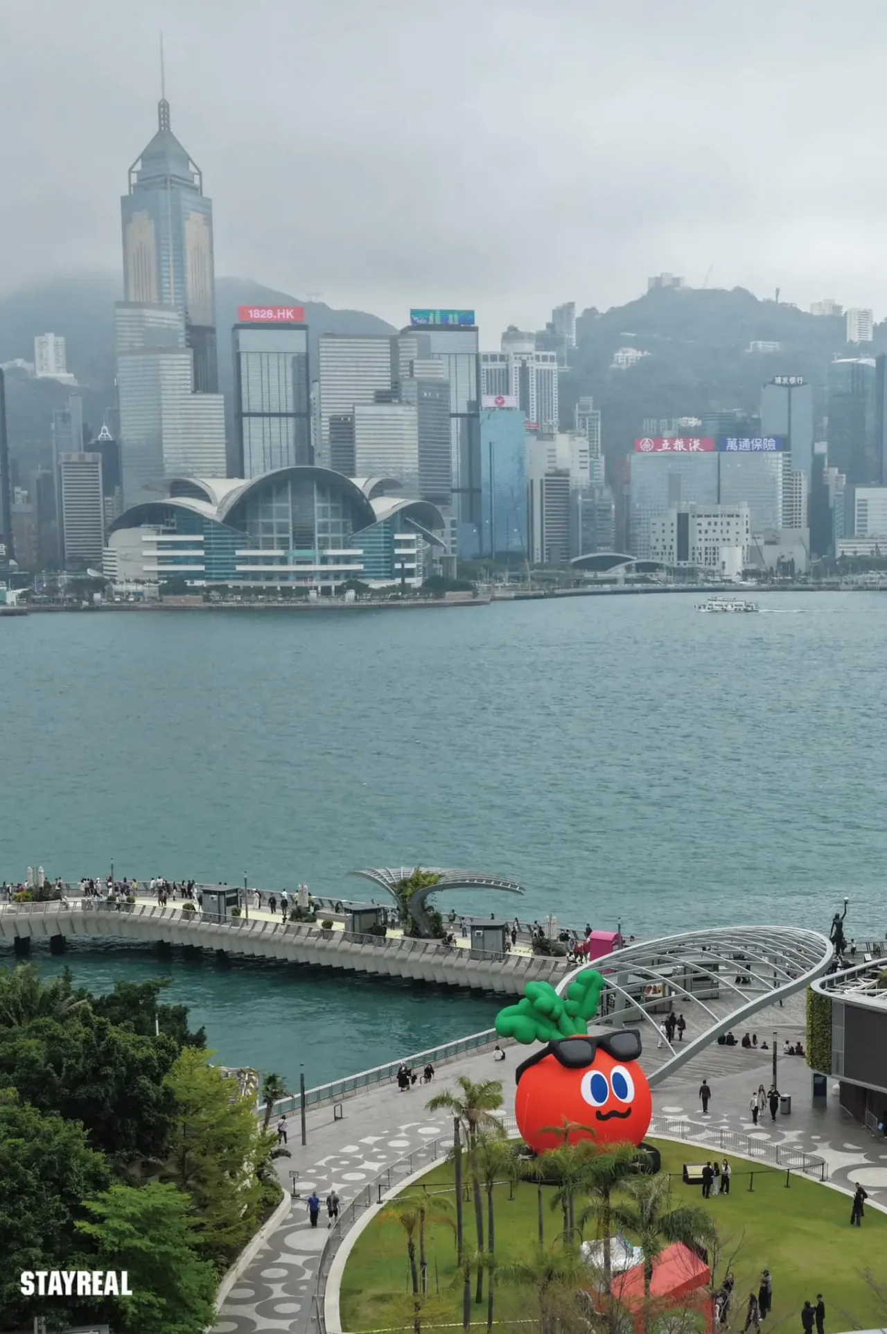 星光蔔覽 MOJO EXPO LIMITED EXHIBITION