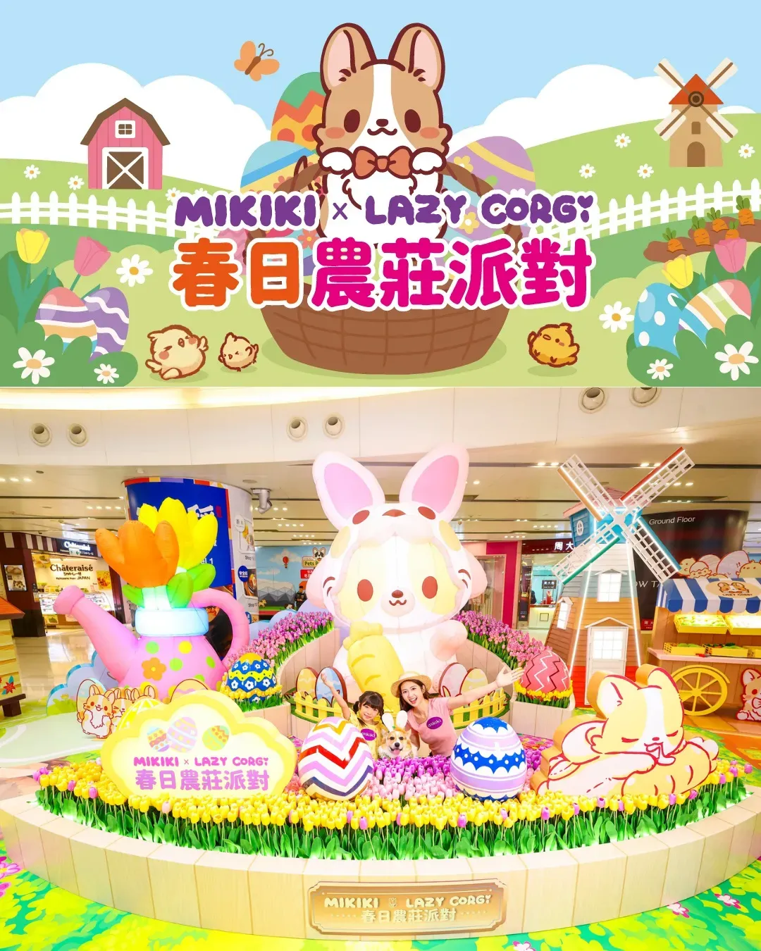 Mikiki「Lazy Corgi 春日農莊派對」