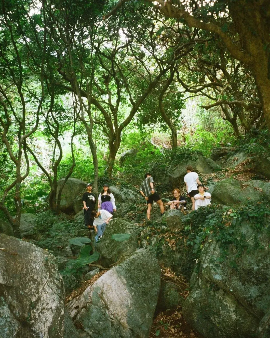 圖片來源：官方網站、U Lifestyle