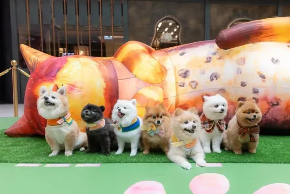 圖片來源：官方網站、U Lifestyle