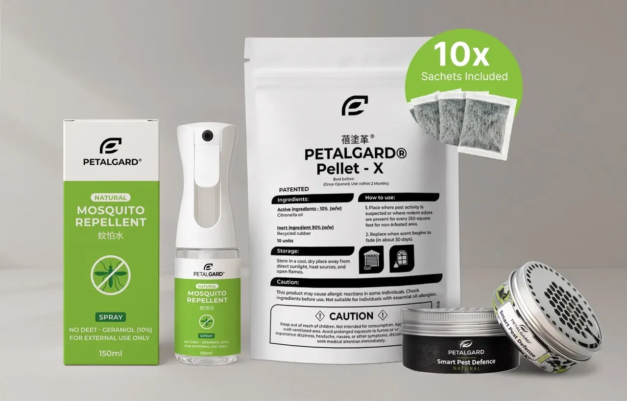 圖片來源：官方網站、U Lifestyle