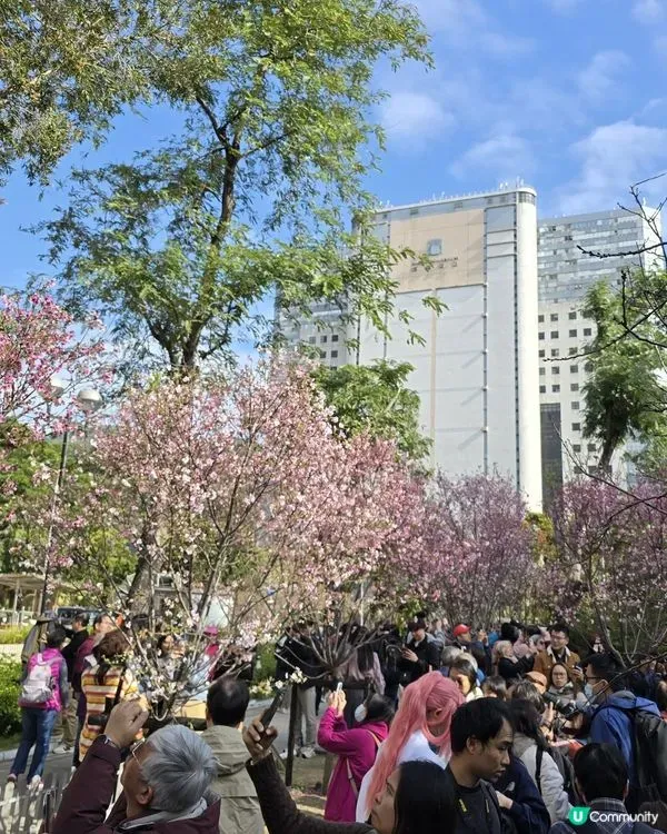 石門安景街公園