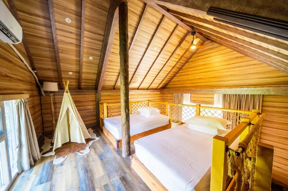 圖片來源：官方網站