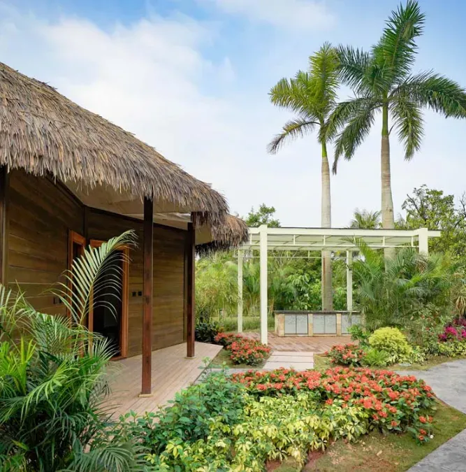 圖片來源：官方網站