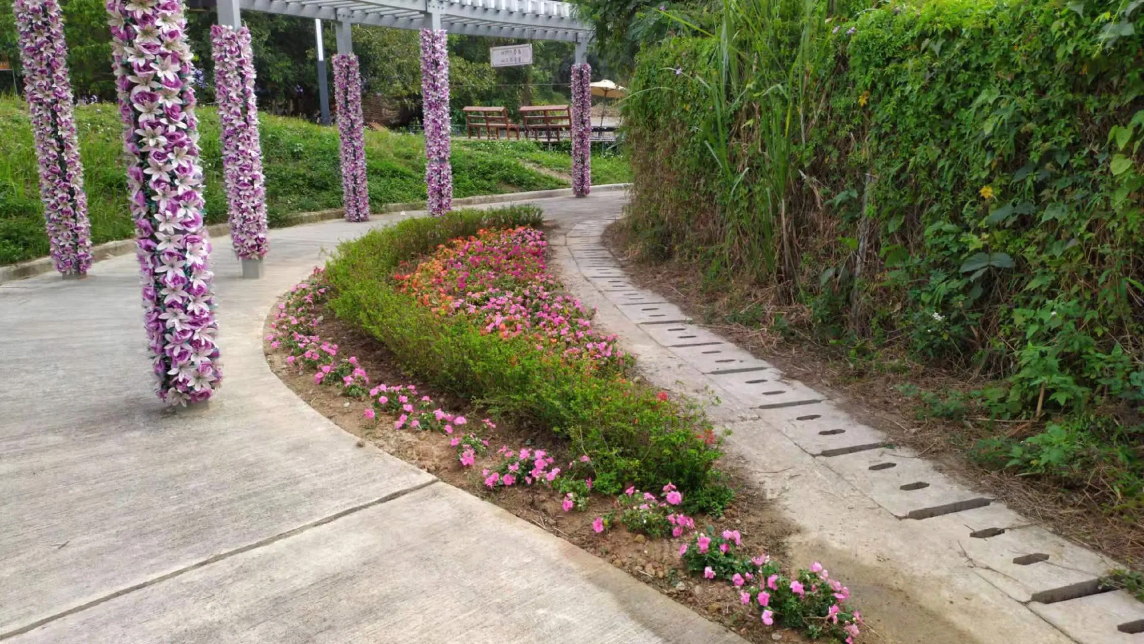 圖片來源：官方網站