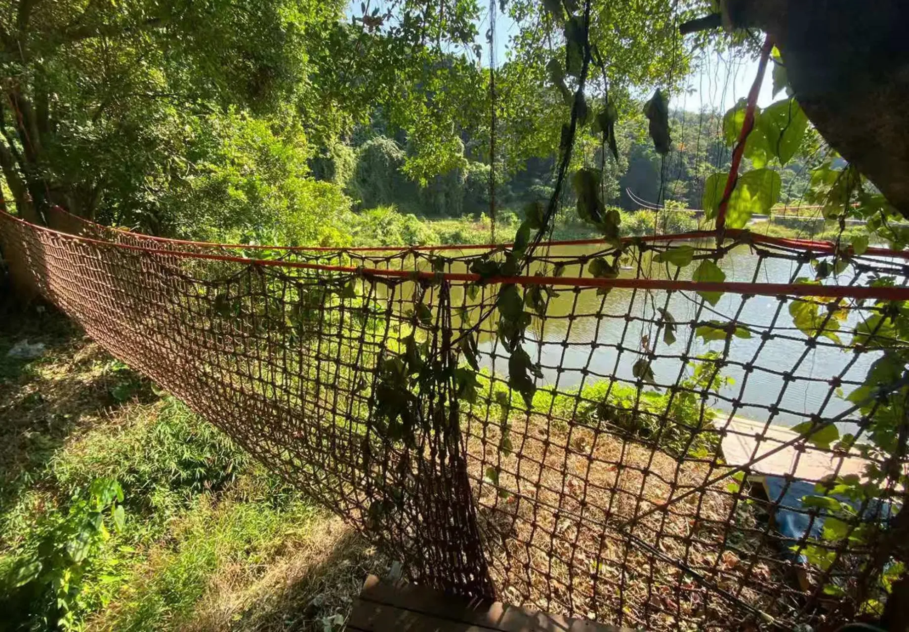 圖片來源：官方網站