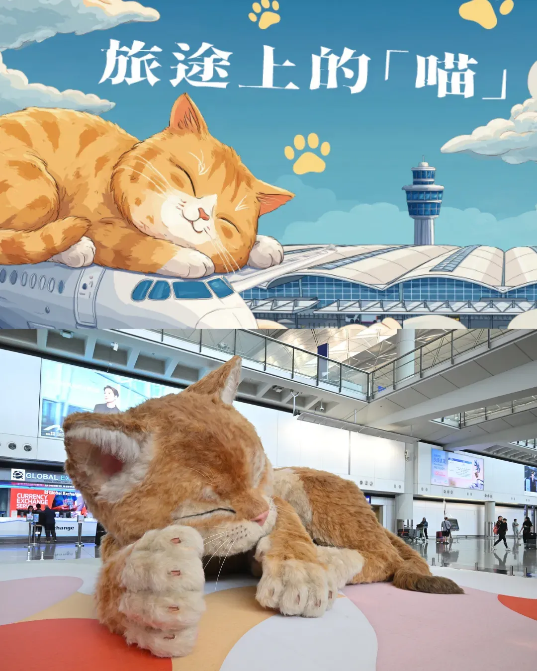 旅途上的喵：巨型互動貓咪藝術裝置
